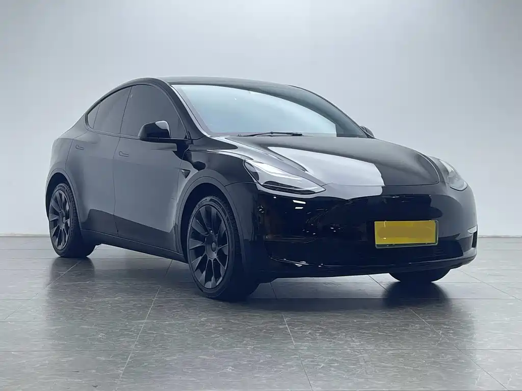 Tesla Model Y — миниатюра 20