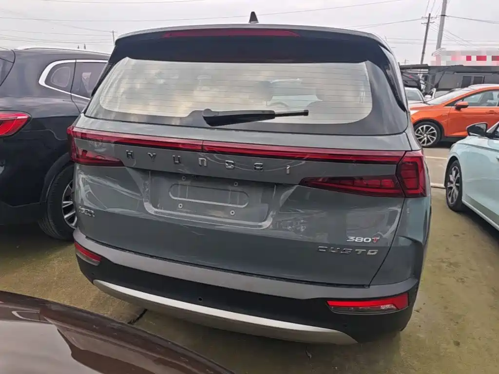 Hyundai Custo — миниатюра 6