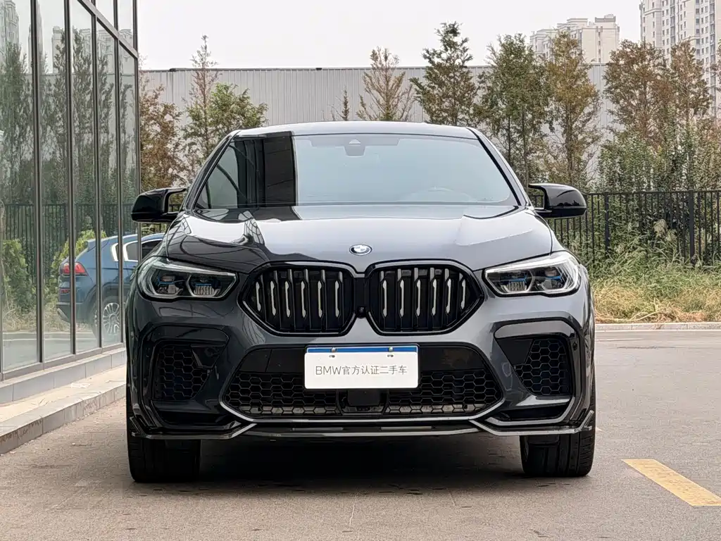 BMW X6 — миниатюра 4