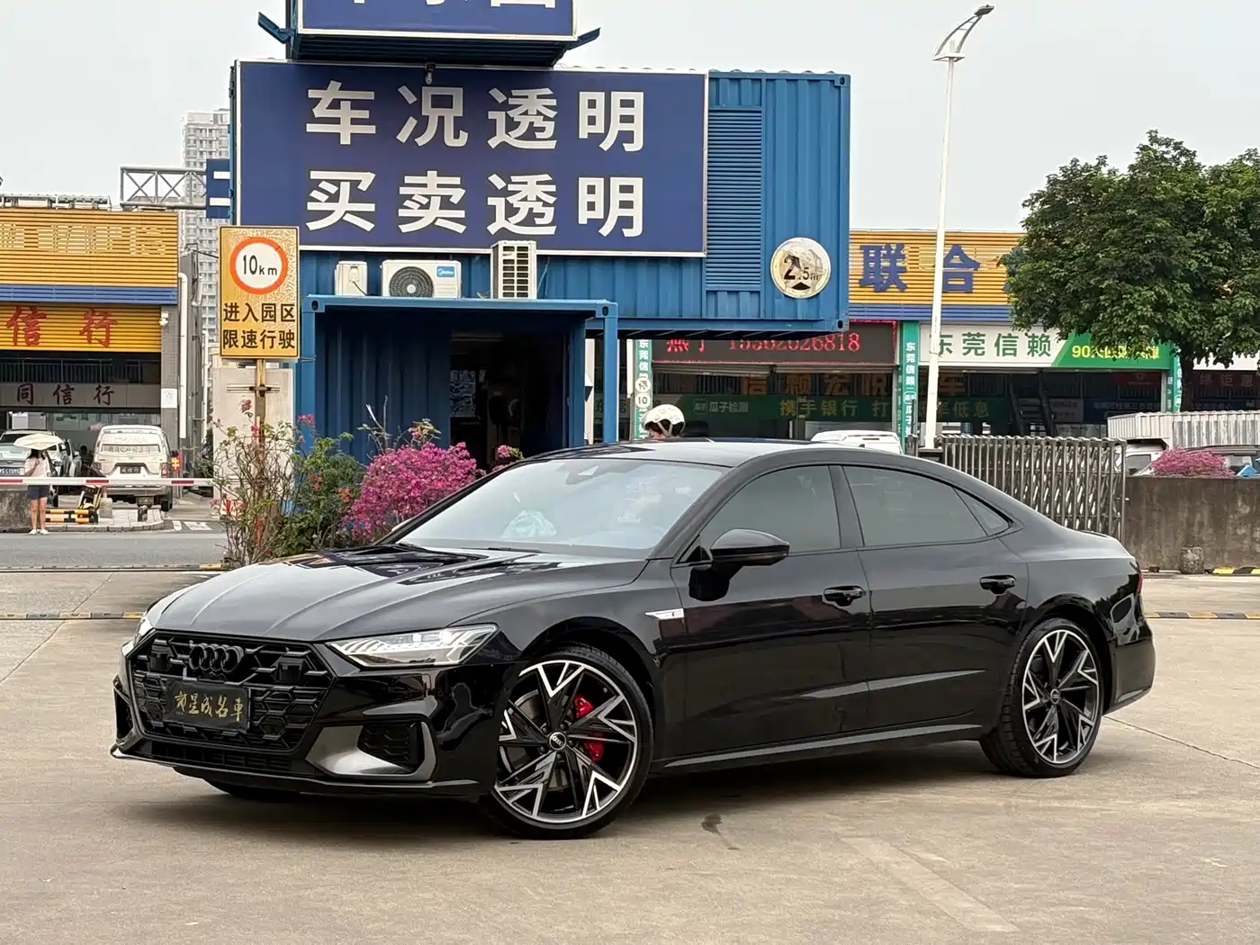 奥迪A7L 2024款 45 TFSI quattro 黑武士版 2024