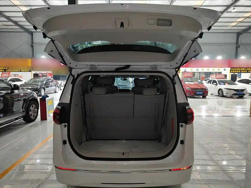 Buick GL8 — миниатюра 19