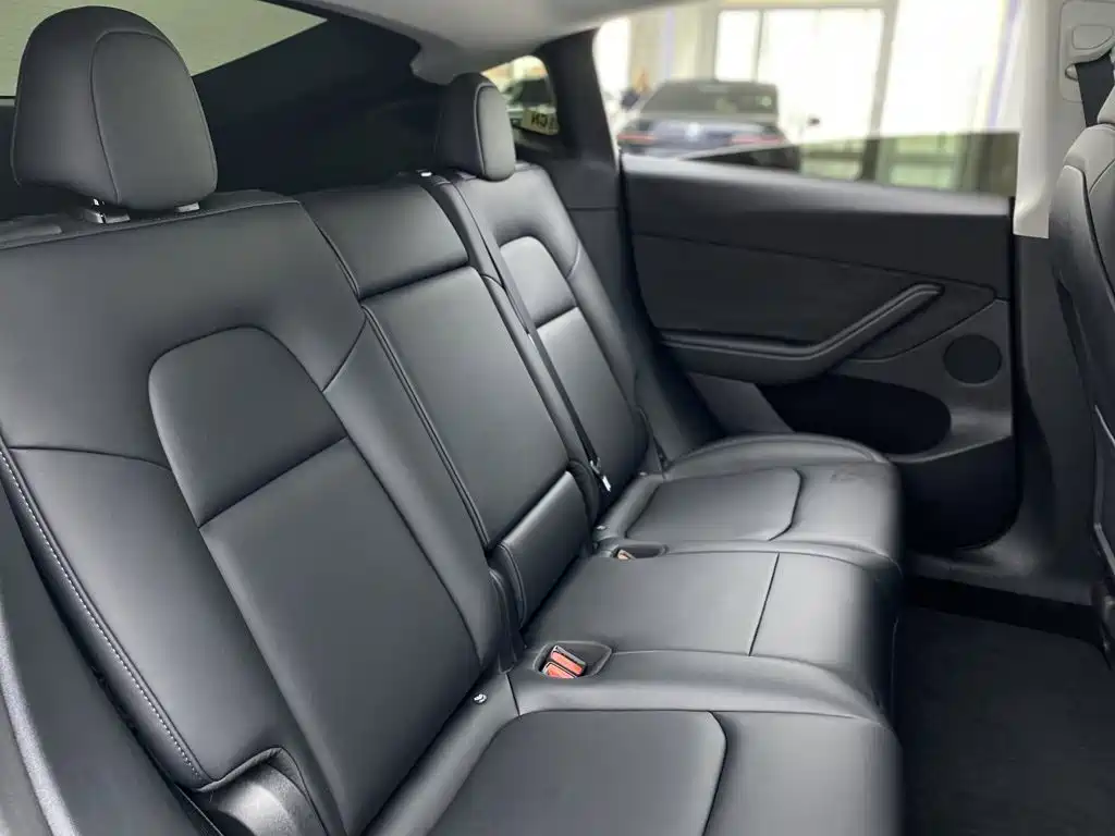Tesla Model Y — миниатюра 19