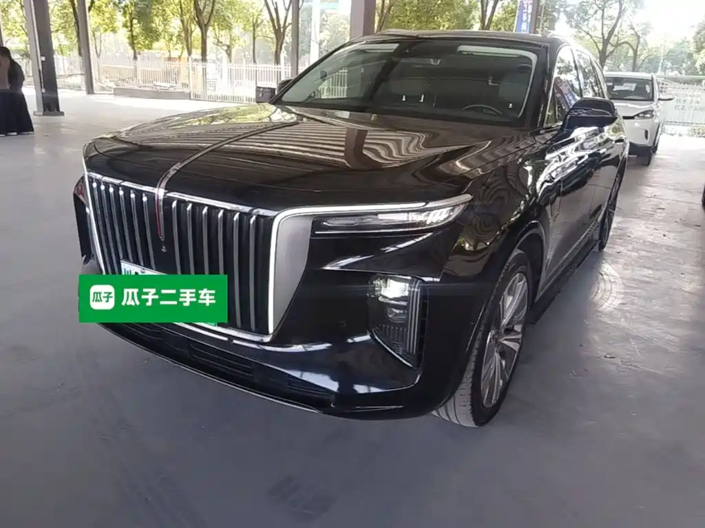 Hongqi Hongqi E-HS9 — миниатюра 2
