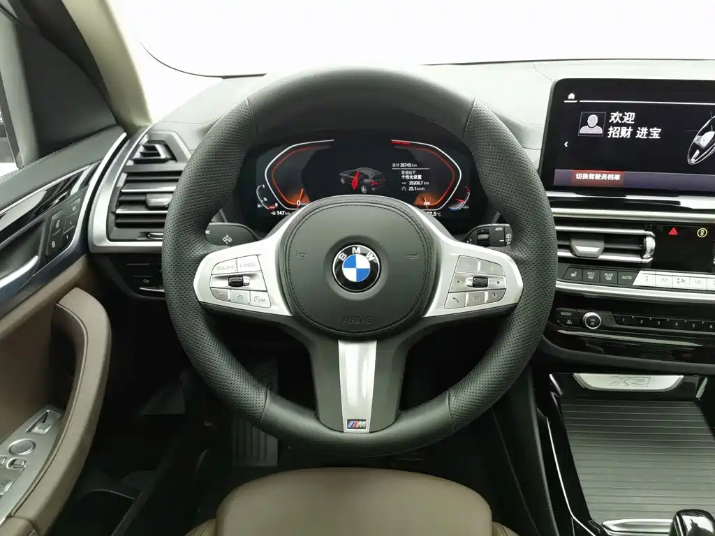 BMW X3 — миниатюра 11