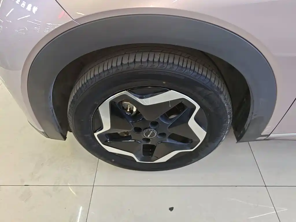 BYD Dolphin — миниатюра 23