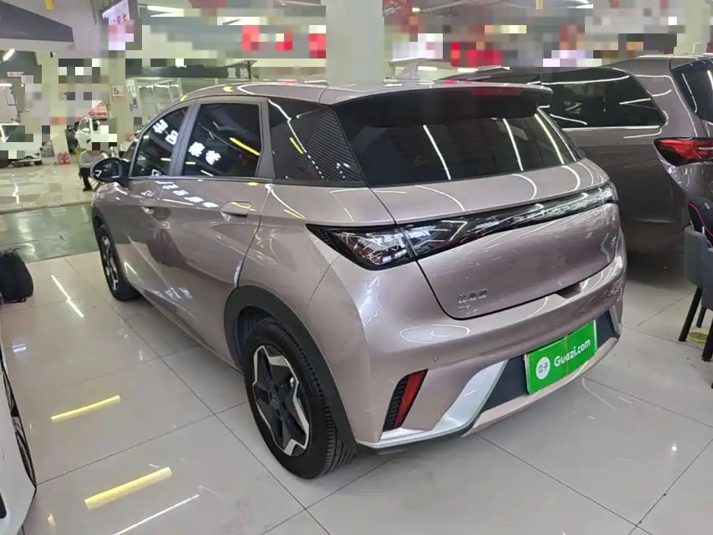 BYD Dolphin — миниатюра 5
