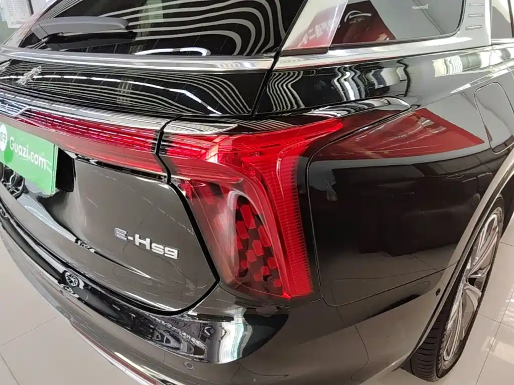 Hongqi Hongqi E-HS9 — миниатюра 8