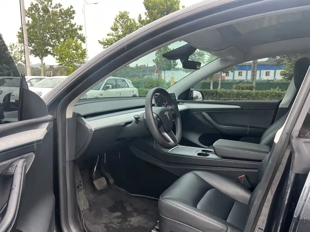 Tesla Model Y — миниатюра 6