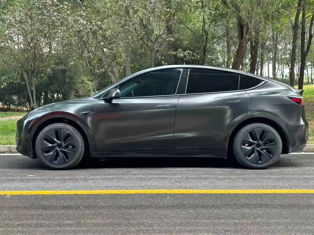 Tesla Model Y — миниатюра 3
