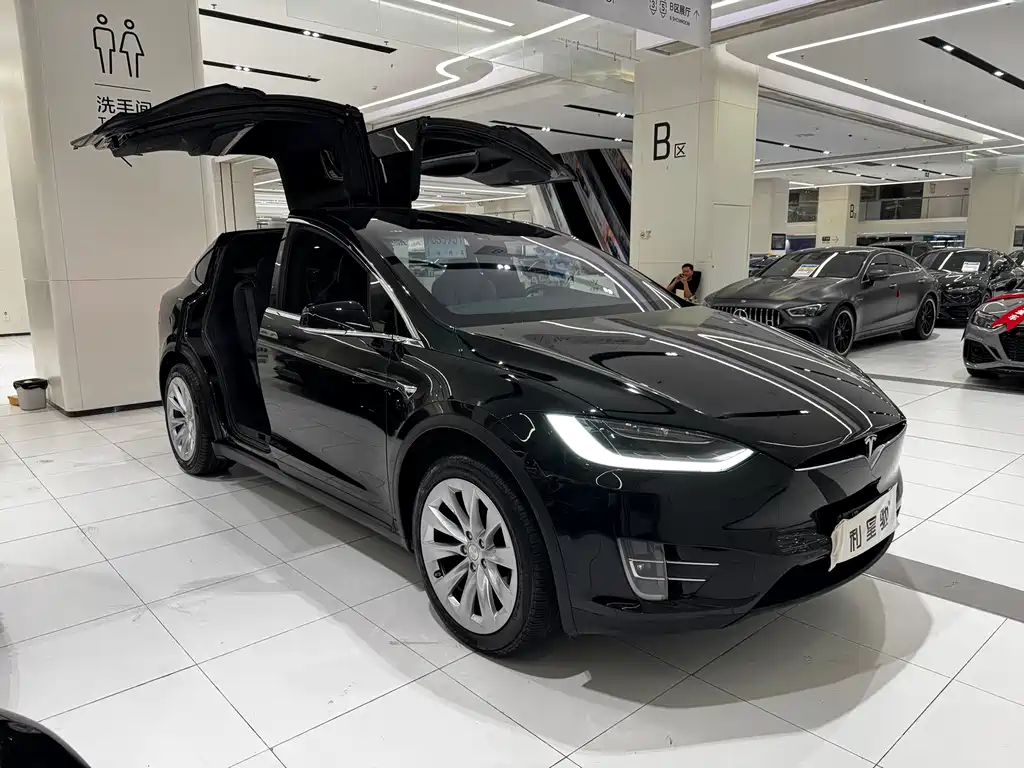 Tesla Model X — миниатюра 2