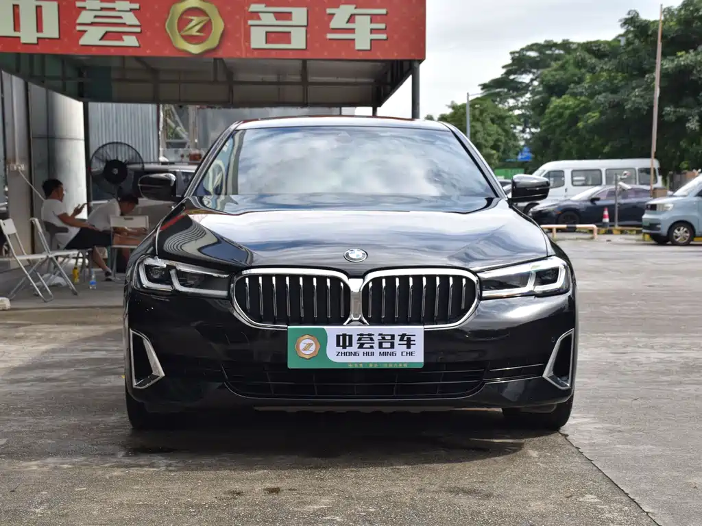 BMW 5 Series New Energy — миниатюра 2