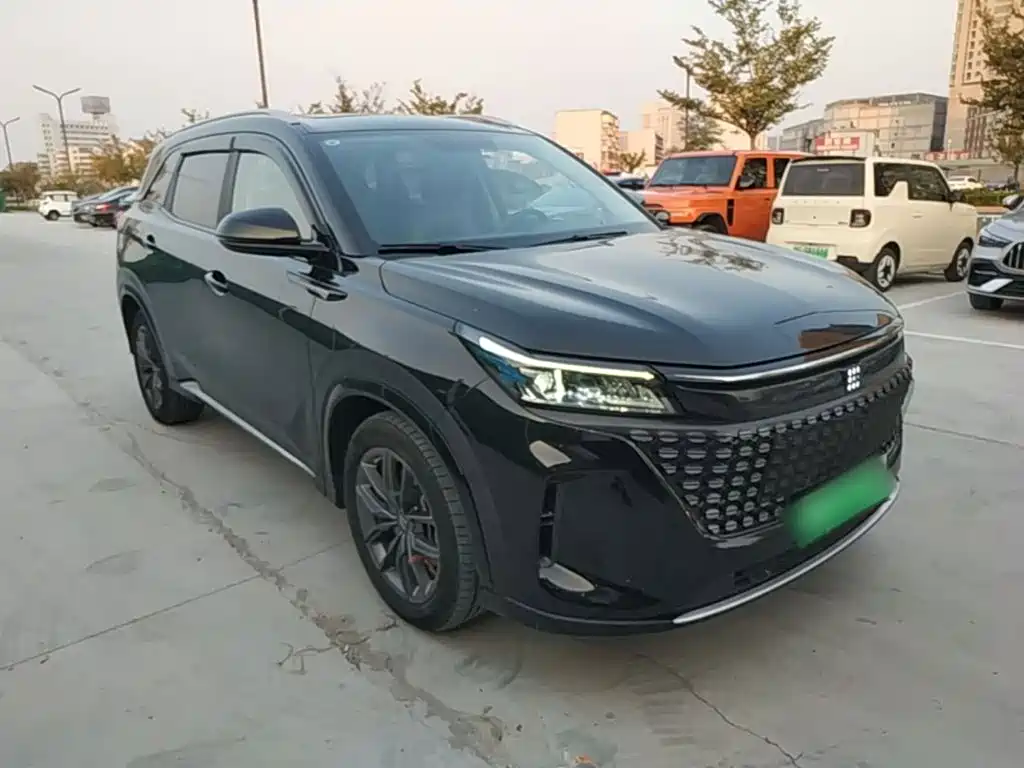 Landian Landian E5 — миниатюра 4