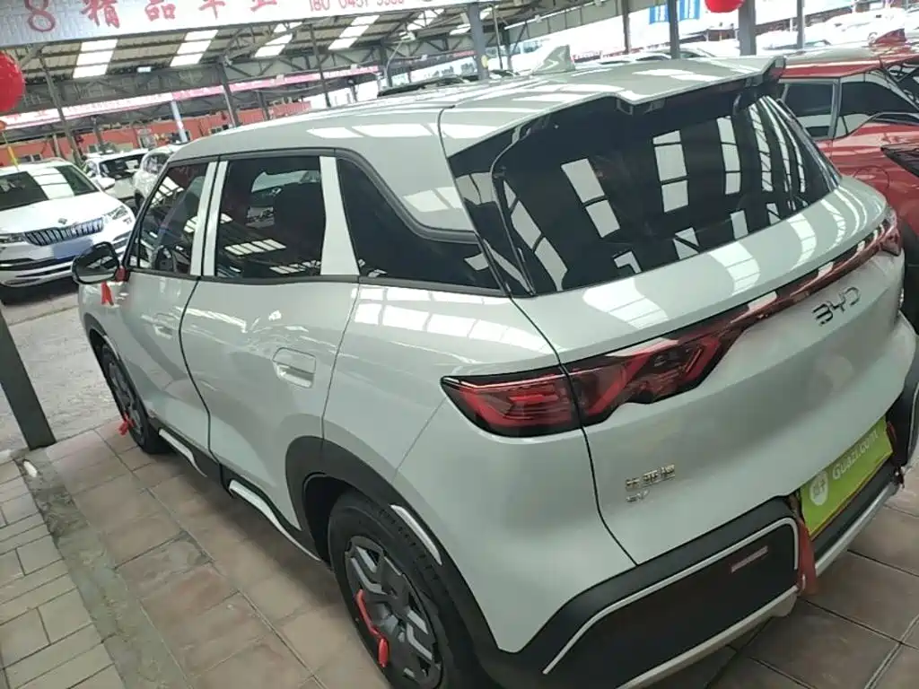 BYD Yuan Up UP 2025 301KM