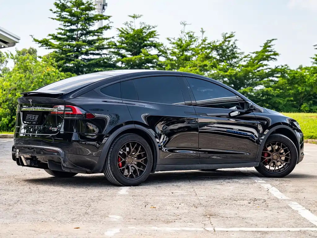 Tesla Model X — миниатюра 3