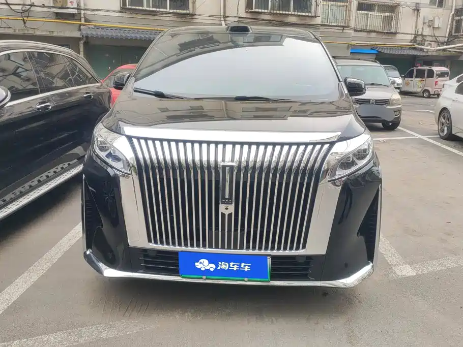 Wey Wey Gaoshan New Energy — миниатюра 2