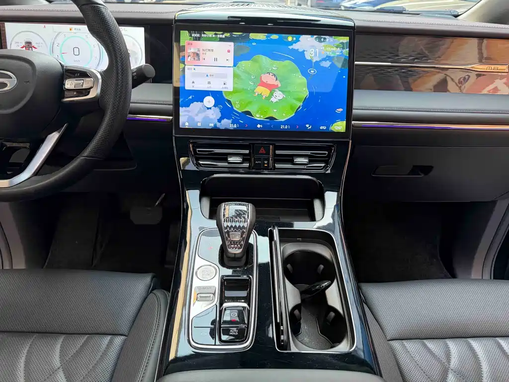 GAC Motor Trumpchi M8 — миниатюра 14