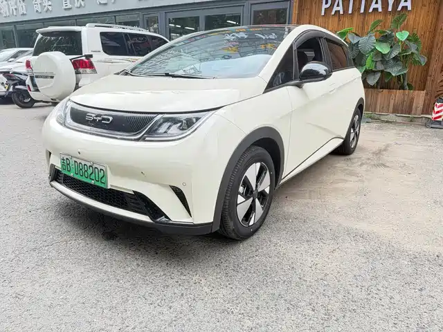2023 BYD Dolphin