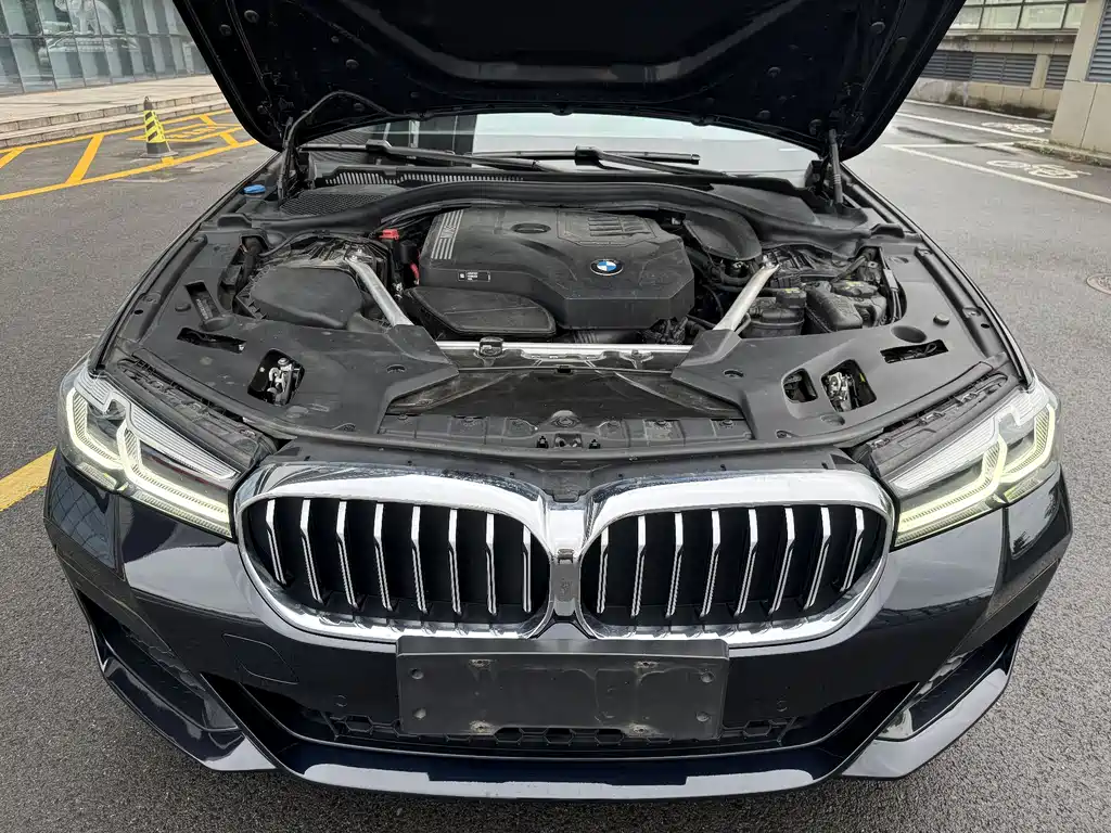 BMW 5 Series 5 2022 530Li Lead M Sport