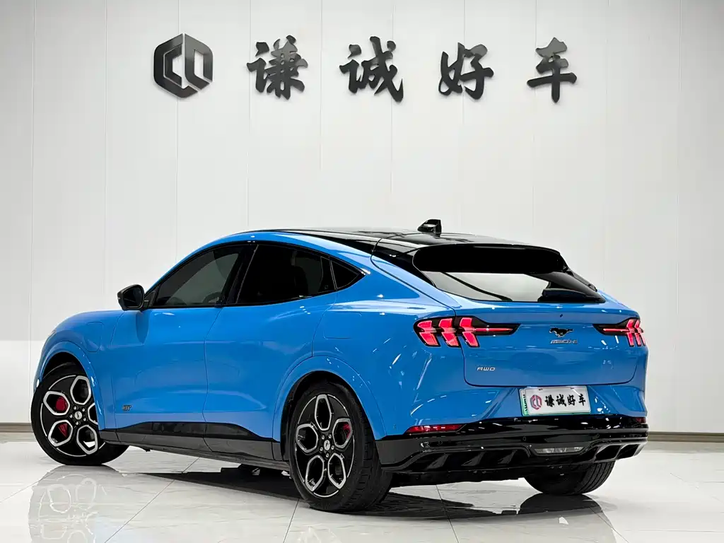 Ford Mustang Mach-E — миниатюра 6