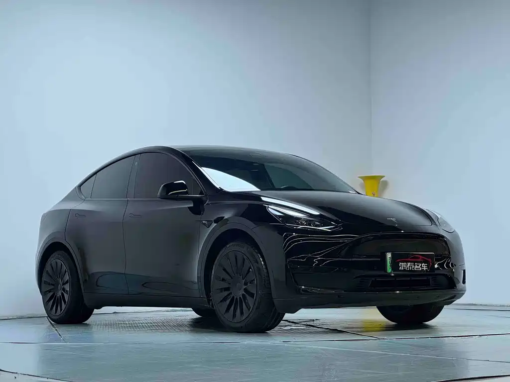 Tesla Model Y — миниатюра 4
