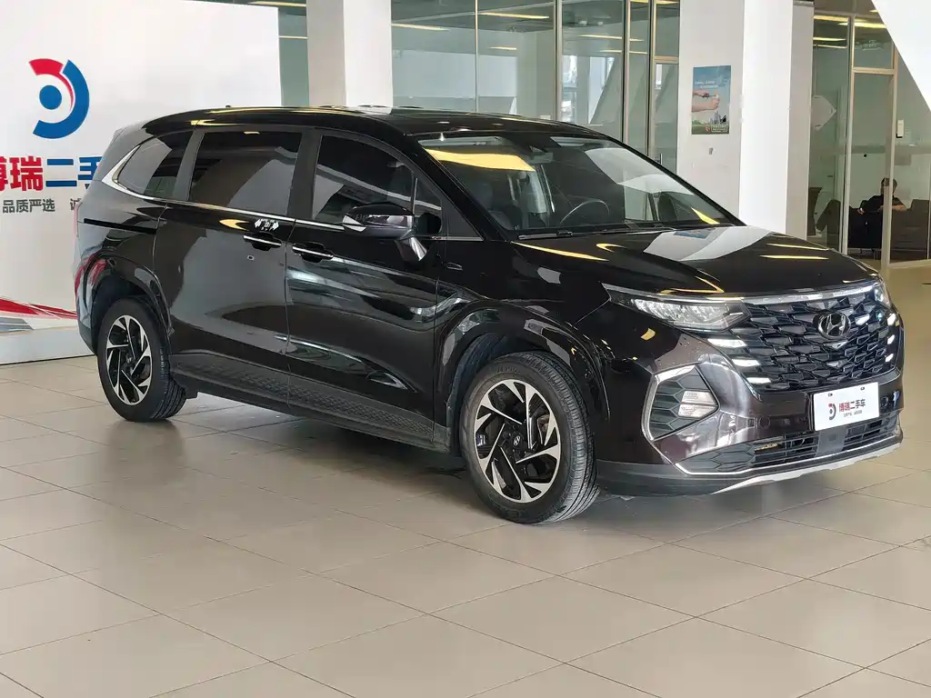 Hyundai Custo — миниатюра 3