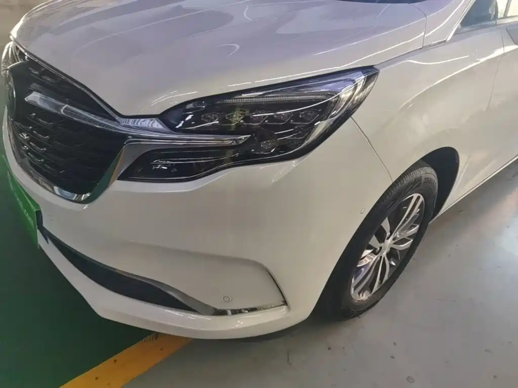 Buick GL8 — миниатюра 24