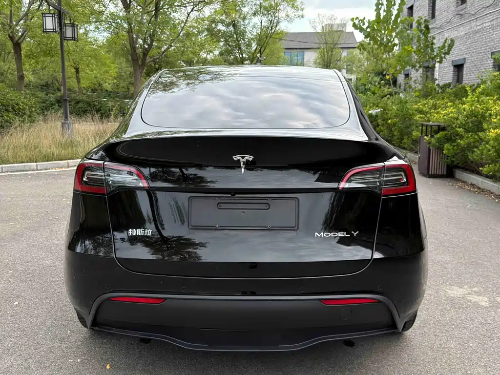 Tesla Model Y — миниатюра 5