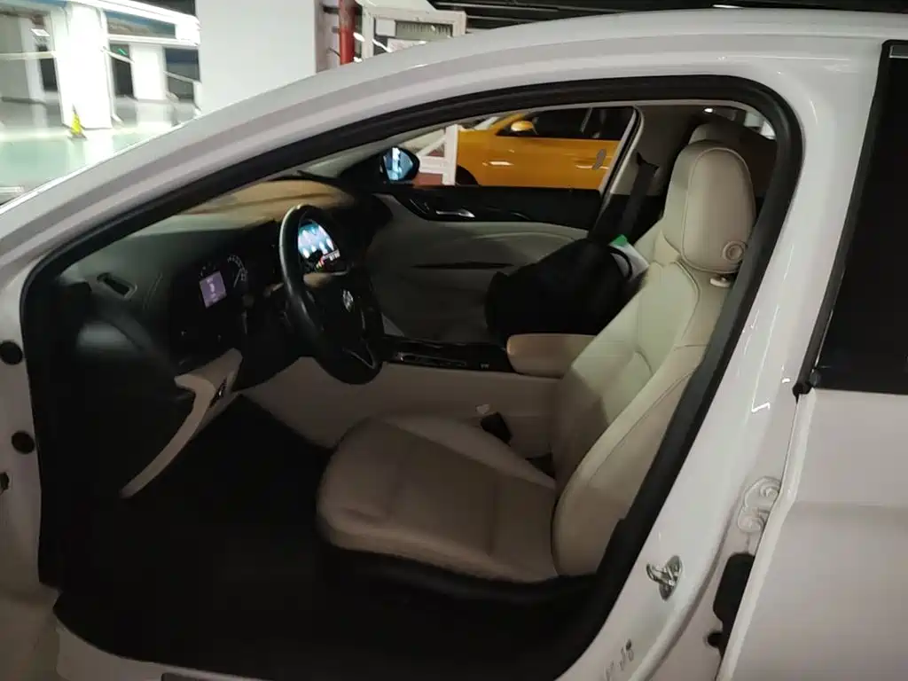Buick Regal — миниатюра 15