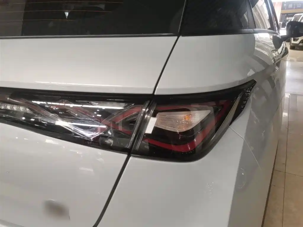 BYD Dolphin 2021 405km Fashion
