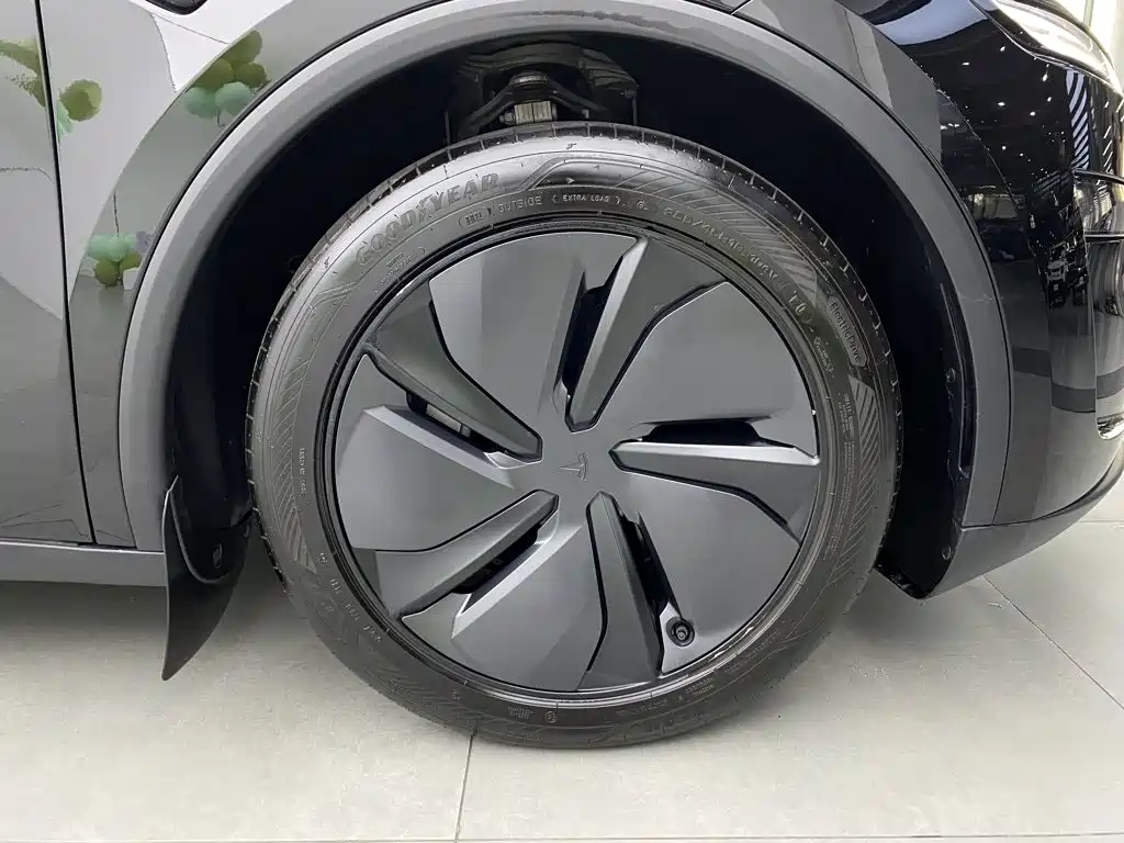 Tesla Model Y — миниатюра 7