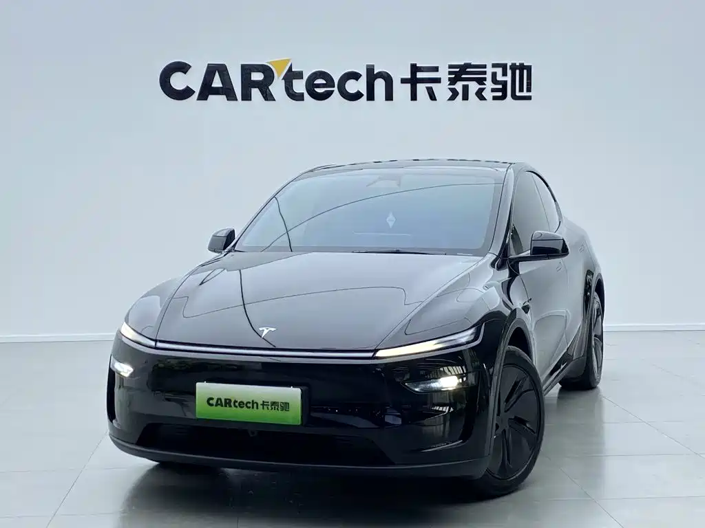 Tesla Model Y — миниатюра 11