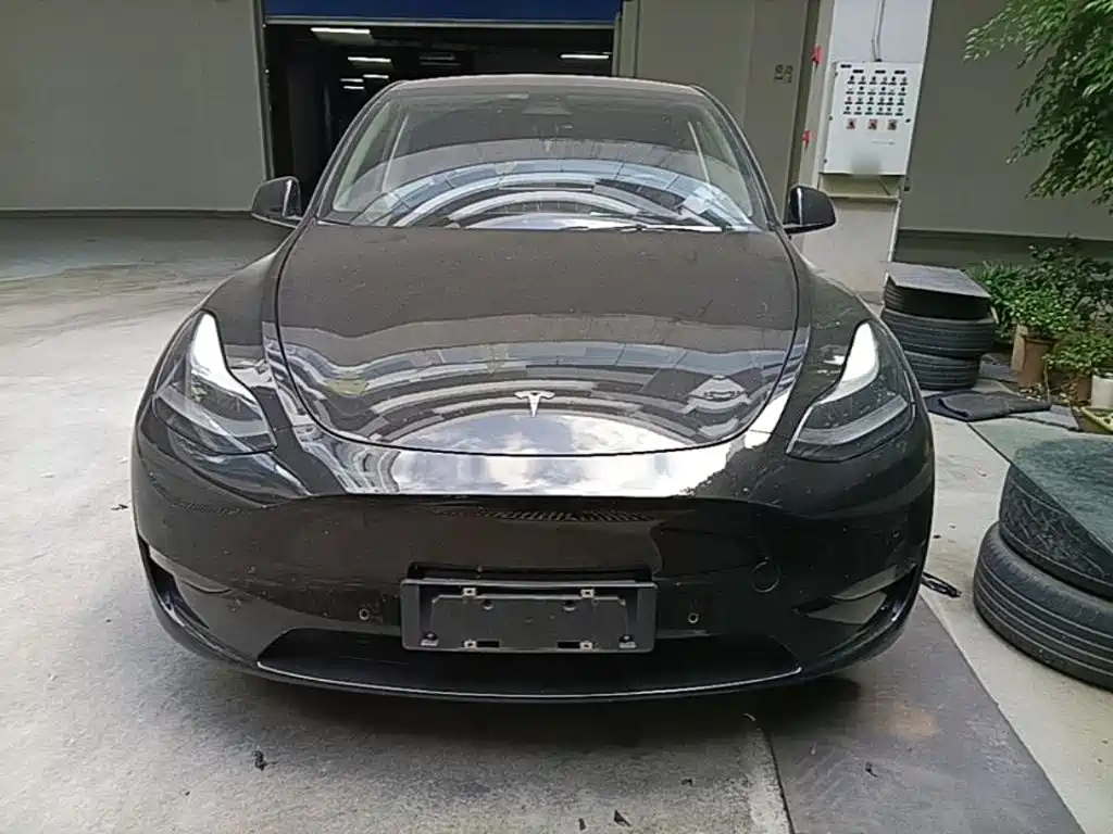 Tesla Model Y — миниатюра 3