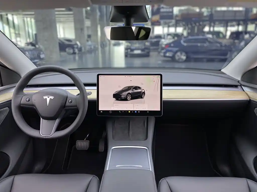 Tesla Model Y — миниатюра 13