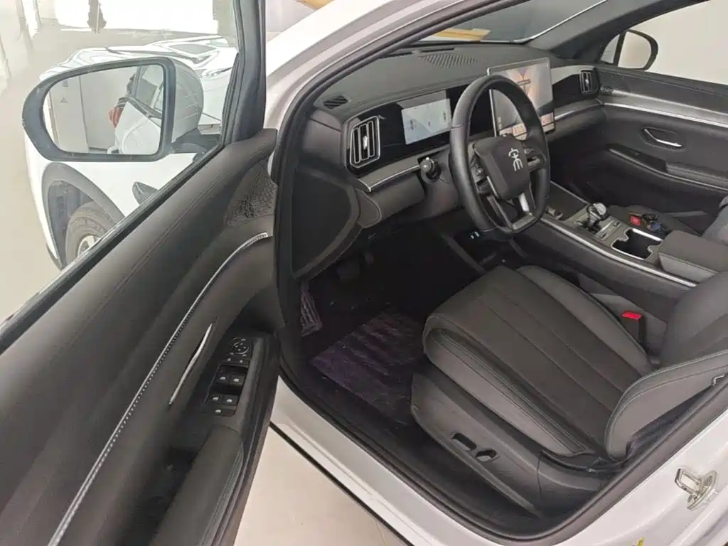 BYD Pro New Energy — миниатюра 16