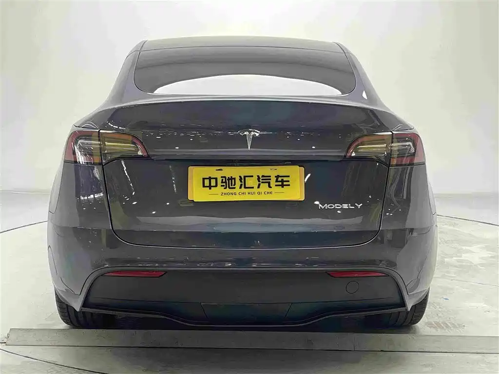 Tesla Model Y — миниатюра 9