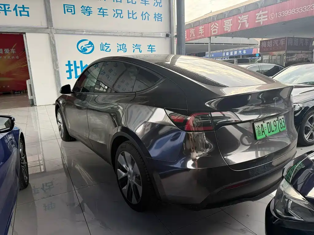 Tesla Model Y — миниатюра 4