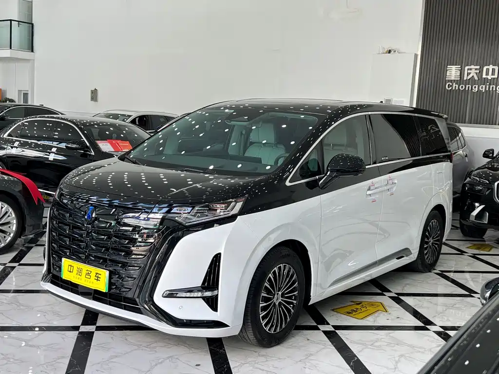 Denza Denza D9
