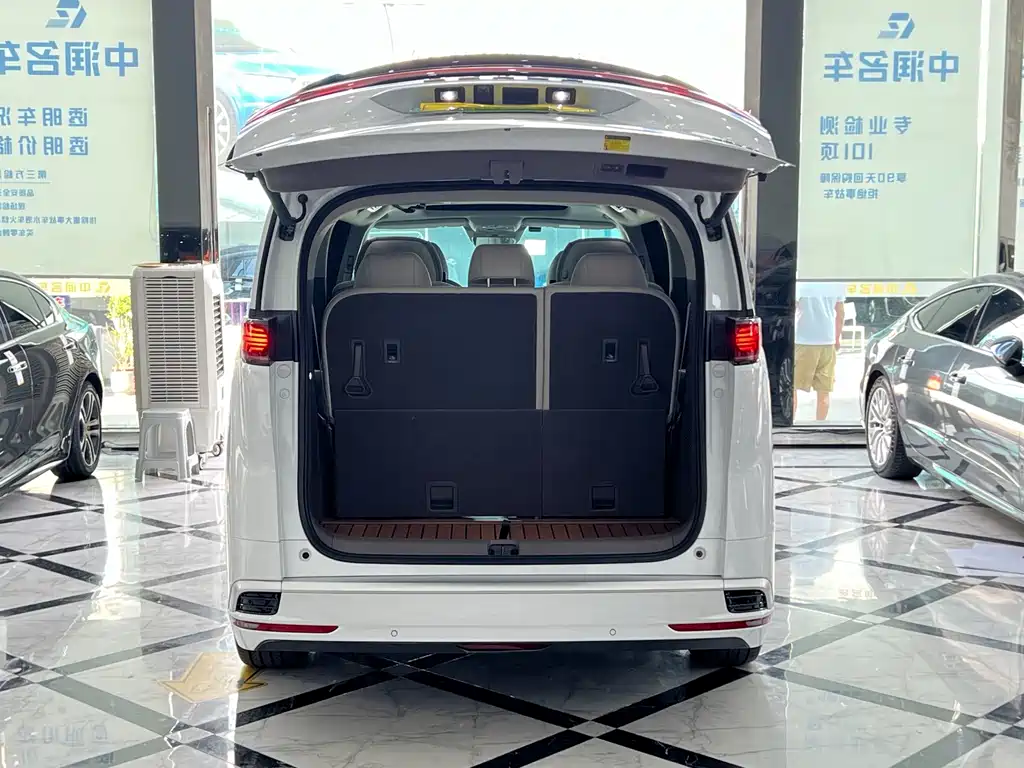 Denza Denza D9 — миниатюра 16