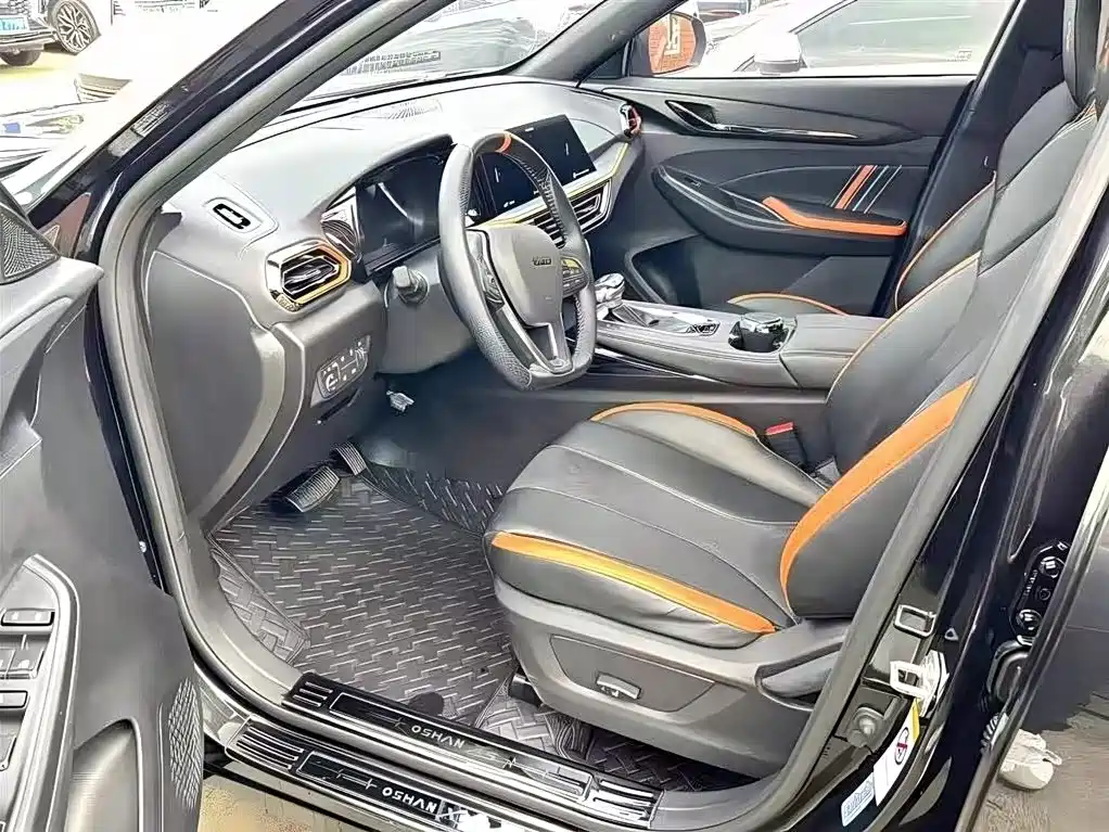 Oshan Oushang X5 — миниатюра 7