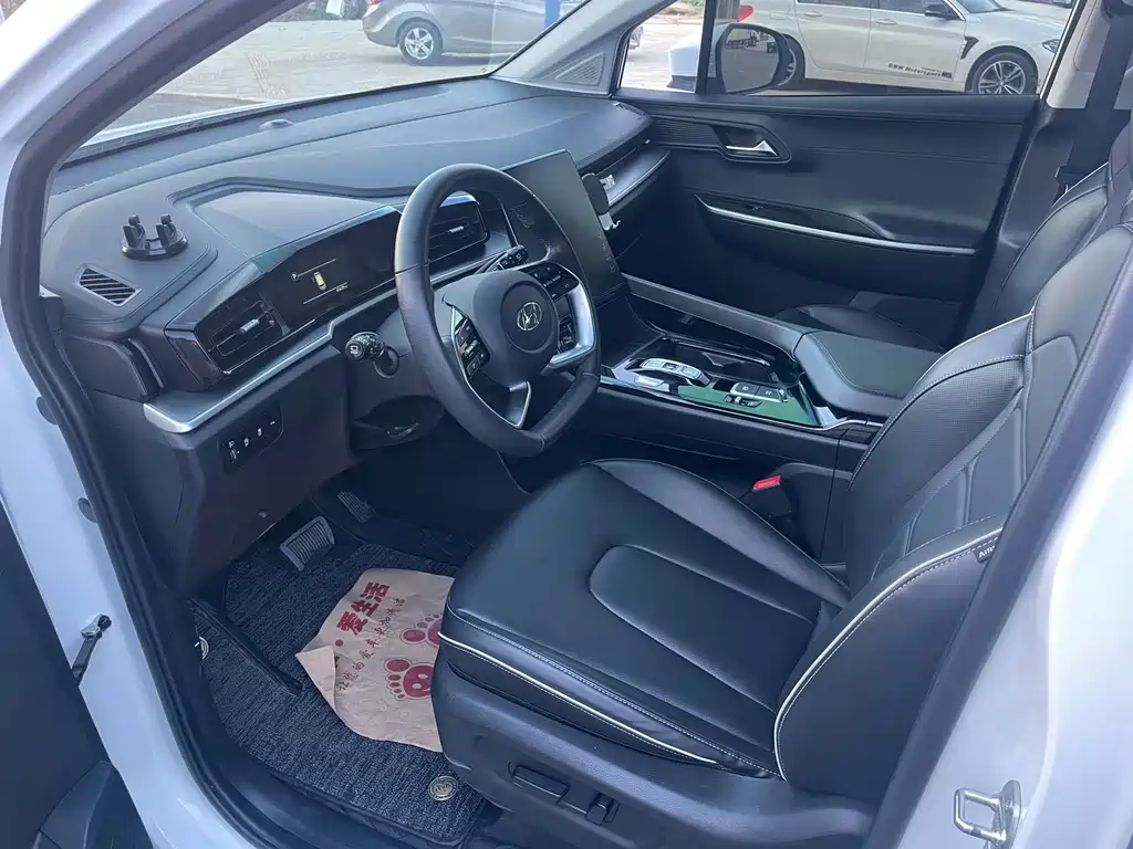Hyundai Custo — миниатюра 14
