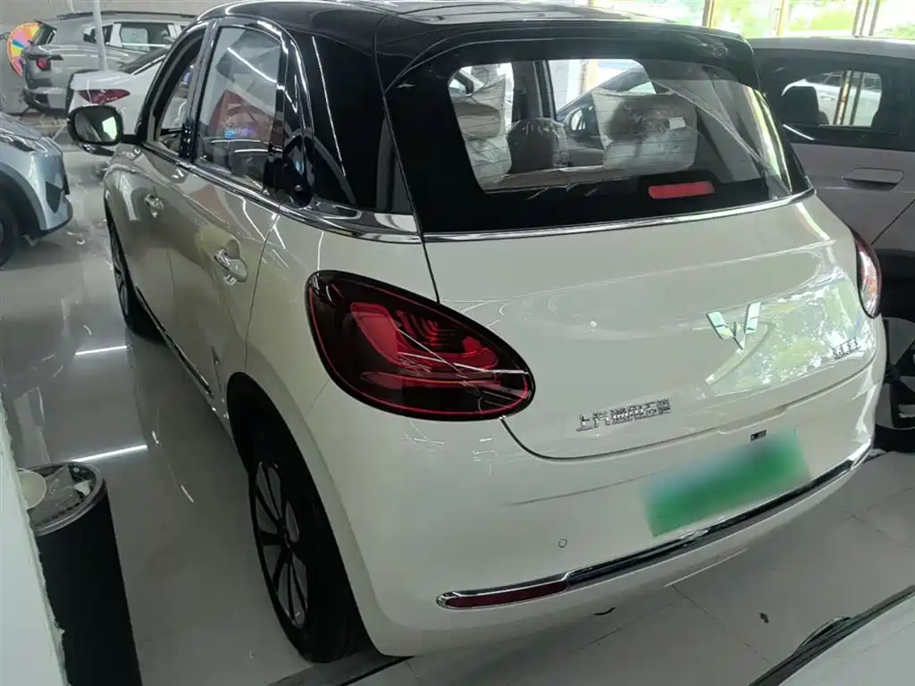 Wuling Binguo 2025 333km Enjoy