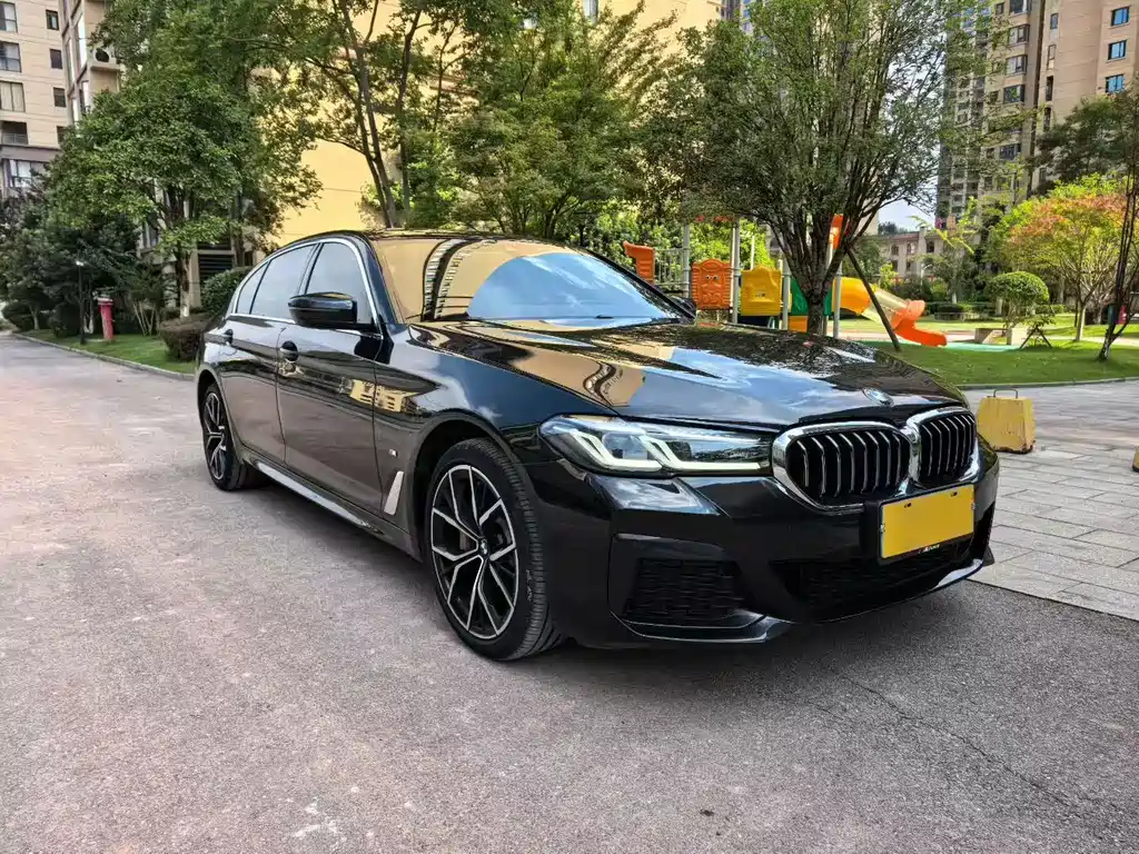 BMW 5 Series — миниатюра 3