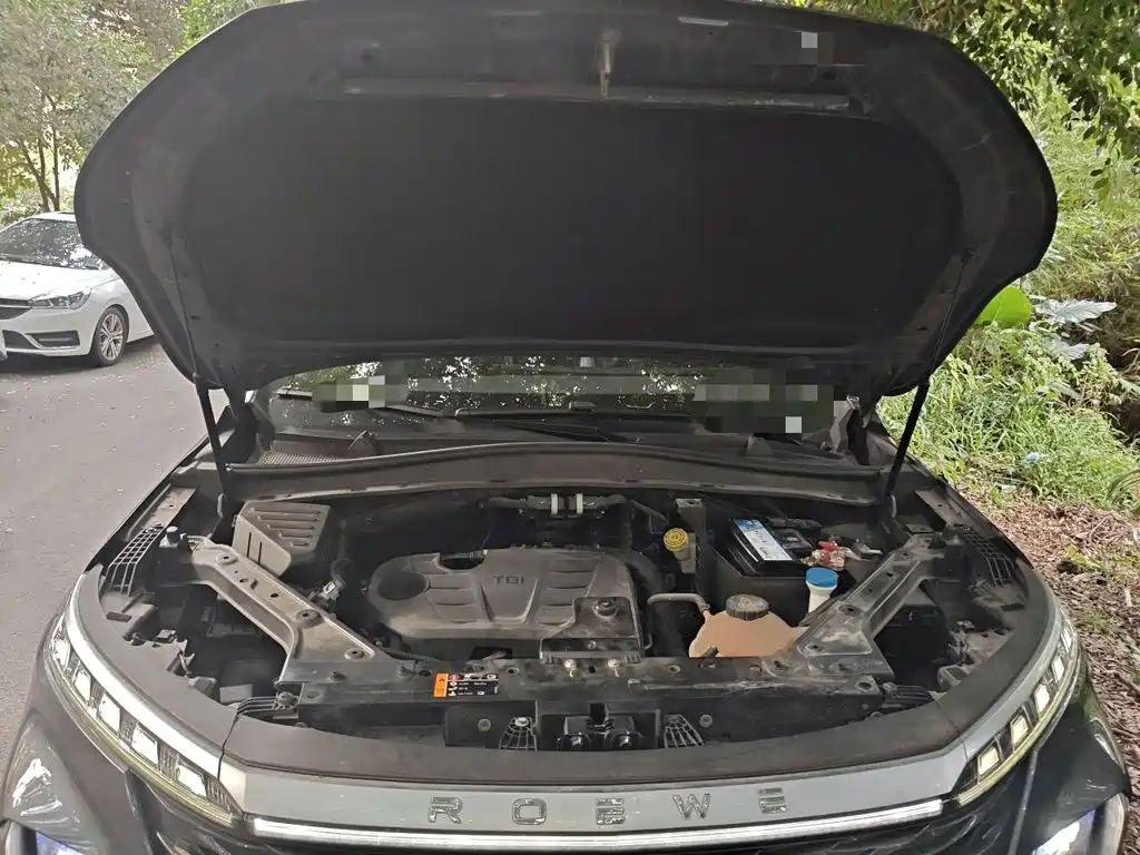 Roewe RX5 MAX — миниатюра 16