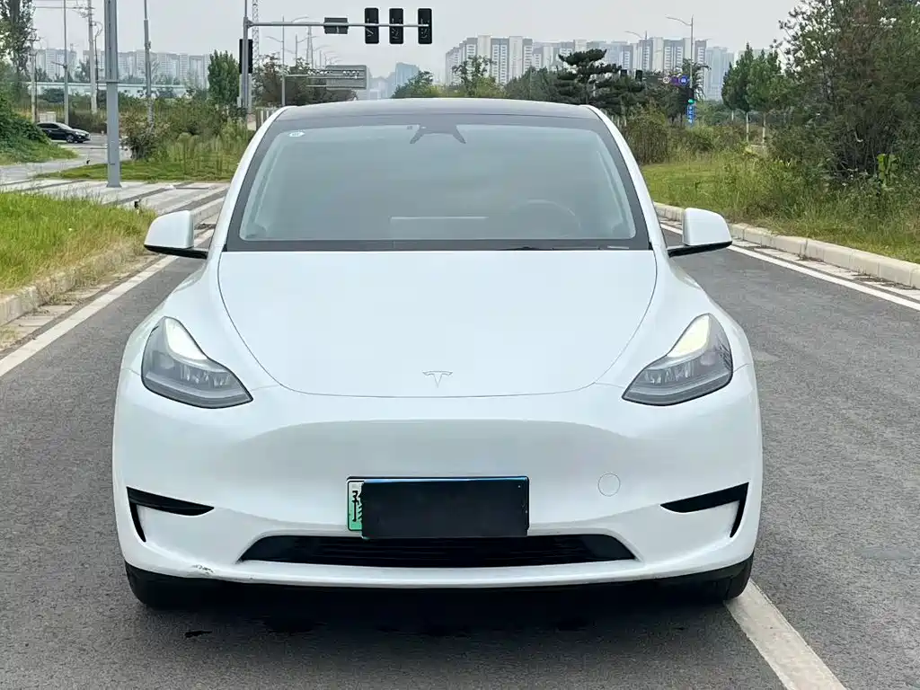 Tesla Model Y — миниатюра 2