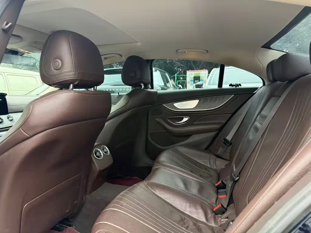 Mercedes-Benz CLS CLS 300 Luxury Type, фото 6
