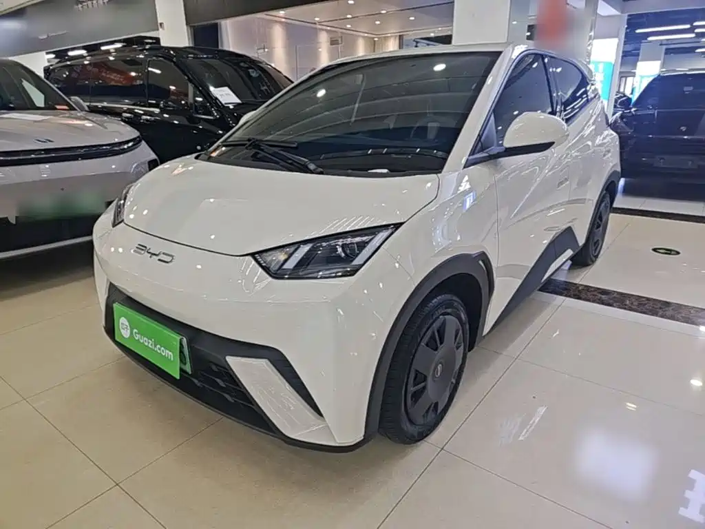 BYD Seagull