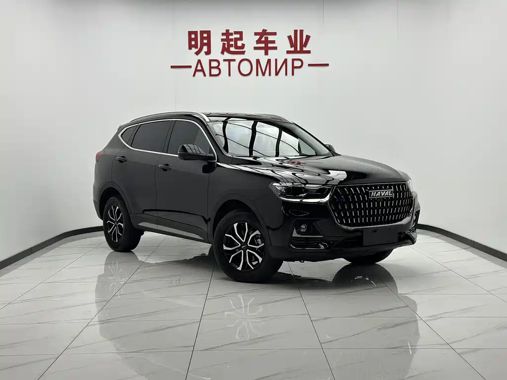 Haval H6 — миниатюра 2