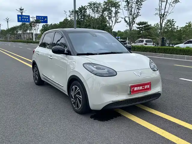 2023 Wuling Motors Binguo