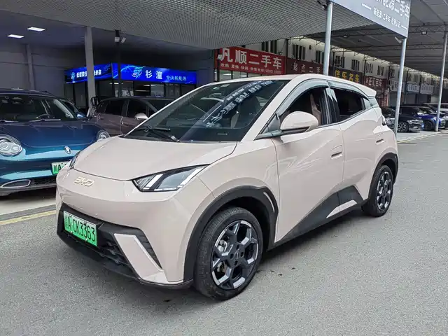 BYD Seagull