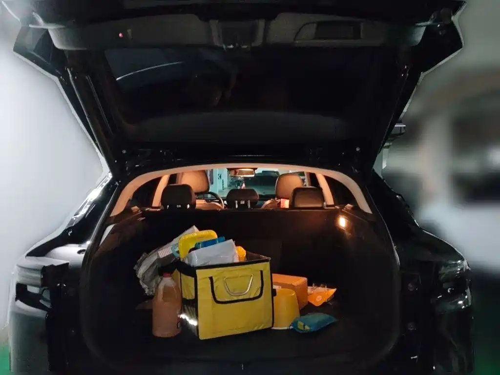 Qoros Qoros 7 — миниатюра 15